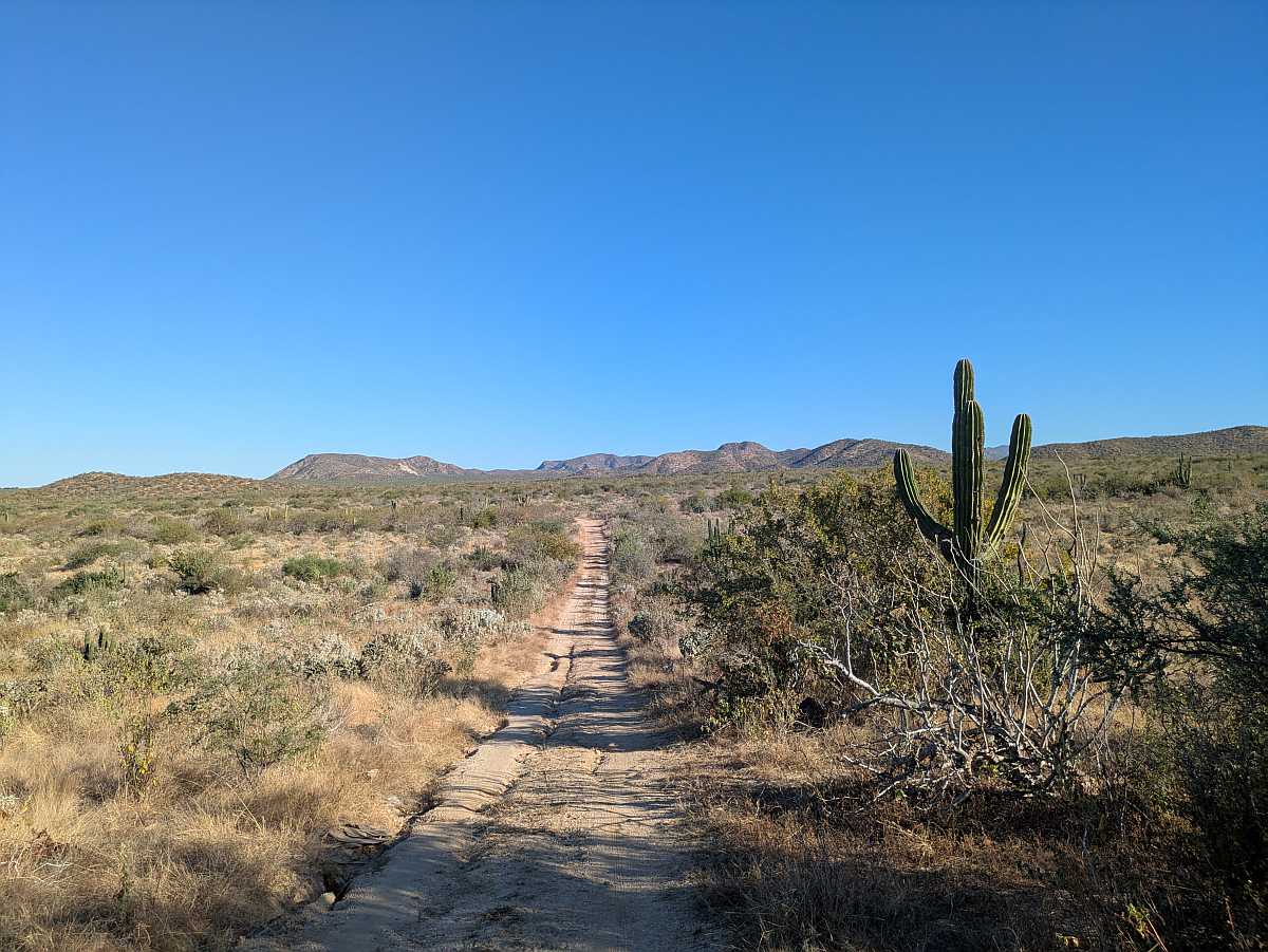 Baja Desert