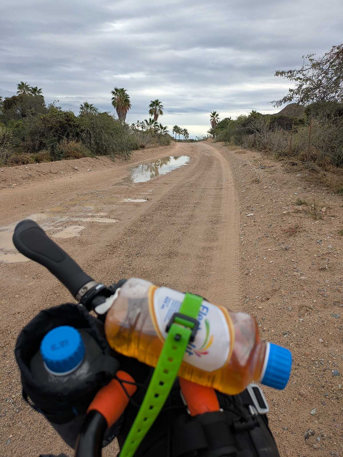 Cabo Pulmo