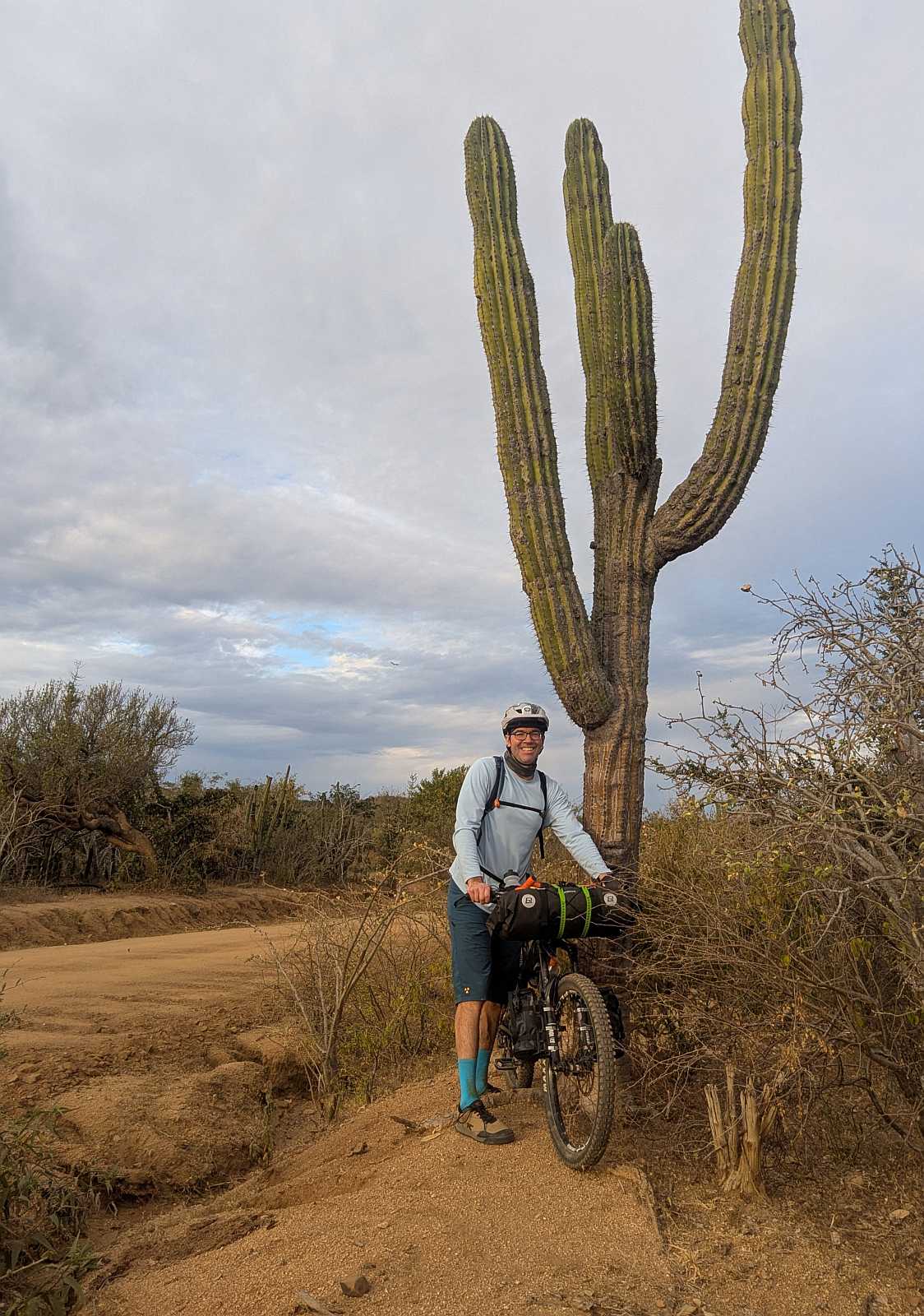 me with a cactus